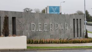 'We can't control that' - questions over Waterford's Deerpark Estate 'We can't control that' - questions over Waterford's Deerpark Estate