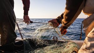 Waterford TD calls for action to stop family boats from being locked out of fish quotas Waterford TD calls for action to stop family boats from being locked out of fish quotas