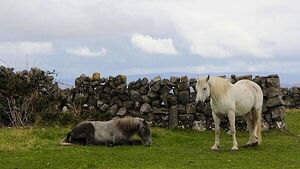 Irish folklore in Meath and Laois: Gates that won't close and the House of Death Irish folklore in Meath and Laois: Gates that won't close and the House of Death
