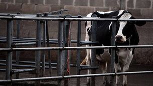 Twelve gardaí currently suspended for sexual assault and misconduct allegations Twelve gardaí currently suspended for sexual assault and misconduct allegations