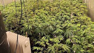 Darragh O’Brien rejects that housing lost out in budget funding Darragh O’Brien rejects that housing lost out in budget funding