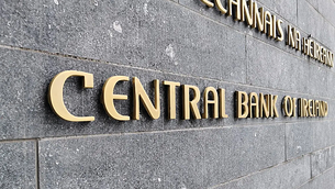 The Labour party is a ‘survivor’, MEP candidate says The Labour party is a ‘survivor’, MEP candidate says