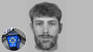 <p>An Evo-FIT image of the suspect</p> <p>An Evo-FIT image of the suspect</p>
