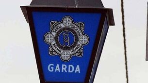Gardaí investigating drive-by shooting in Rathkeale Gardaí investigating drive-by shooting in Rathkeale