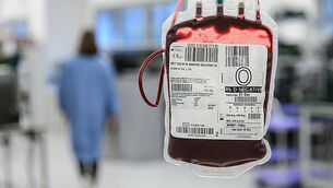 House prices rose by more than 7% over last year despite high interest rates House prices rose by more than 7% over last year despite high interest rates