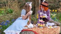 Local Notes: Alice in Wonderland is coming to Stradbally Local Notes: Alice in Wonderland is coming to Stradbally