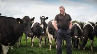 Farming: ICMSA query amount of beef imported into Ireland Farming: ICMSA query amount of beef imported into Ireland