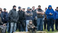 Farming: Carcass weights on increase for cattle at Newford Farming: Carcass weights on increase for cattle at Newford