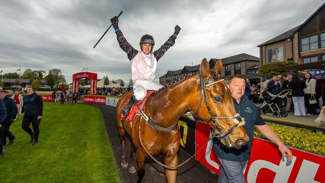 Brilliant Bob bows out with super Punchestown Stayers Hurdle glory Brilliant Bob bows out with super Punchestown Stayers Hurdle glory
