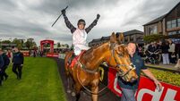 Brilliant Bob bows out with super Punchestown Stayers Hurdle glory Brilliant Bob bows out with super Punchestown Stayers Hurdle glory