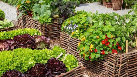 Green Fingers: Rethinking gardening activities Green Fingers: Rethinking gardening activities