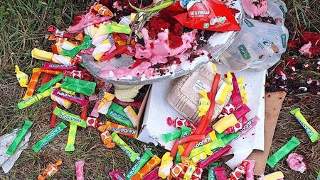 Mattress left in field and a birthday party dumped, fly tipping in county Waterford highlighted Mattress left in field and a birthday party dumped, fly tipping in county Waterford highlighted