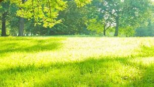 <p>Cllr D'Arcy said the park is badly needed for a rapidly growing population</p> <p>Cllr D'Arcy said the park is badly needed for a rapidly growing population</p>