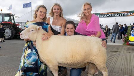 National Ploughing Championships Set to Deliver Food, Family Fun and More National Ploughing Championships Set to Deliver Food, Family Fun and More