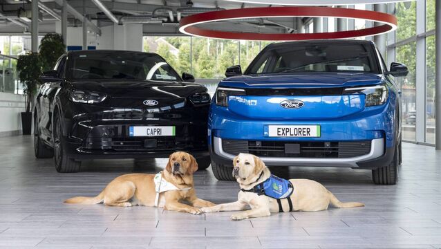 Ford Ireland is teaming up with Irish Guide Dogs for the Blind once again for its Drive for you Community appeal, launched at Joe Duffy Motors Cork. Photo: Gerard McCarthy, Julien Behal Photography <p>Ford Ireland is teaming up with Irish Guide Dogs for the Blind once again for its Drive for you Community appeal, launched at Joe Duffy Motors Cork. Photo: Gerard McCarthy, Julien Behal Photography</p>