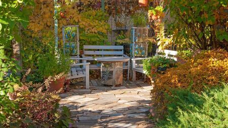 Green Fingers: Shady characters in your garden Green Fingers: Shady characters in your garden