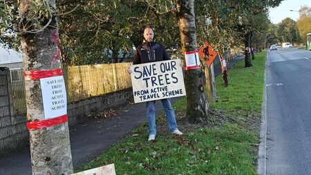 Letter to the Editor: Waterford residents take to the streets to save mature trees from travel scheme Letter to the Editor: Waterford residents take to the streets to save mature trees from travel scheme