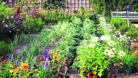 Green Fingers: Having the best of both worlds Green Fingers: Having the best of both worlds